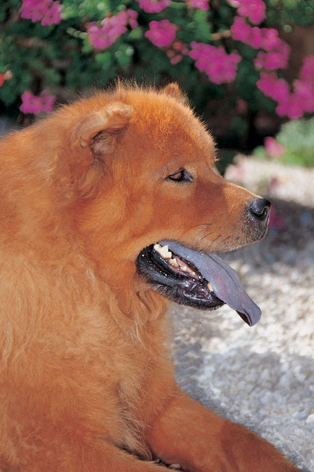 Particularit&eacute;