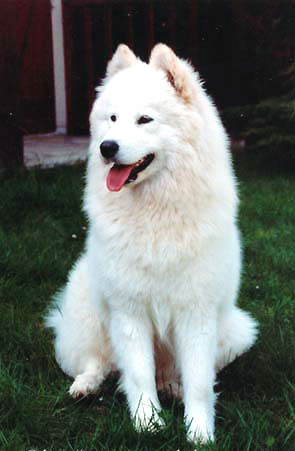 Origine et utilisation